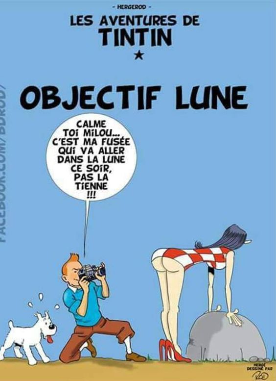 humour en images II - Page 15 Tintin-revisitc3a9-hergc3a9-dessinc3a9-par-rod
